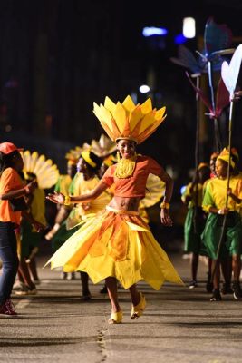  David Kramer's Cape Town Carnival: A Celebration of Music, Laughter, and Unexpected Pyrotechnics!